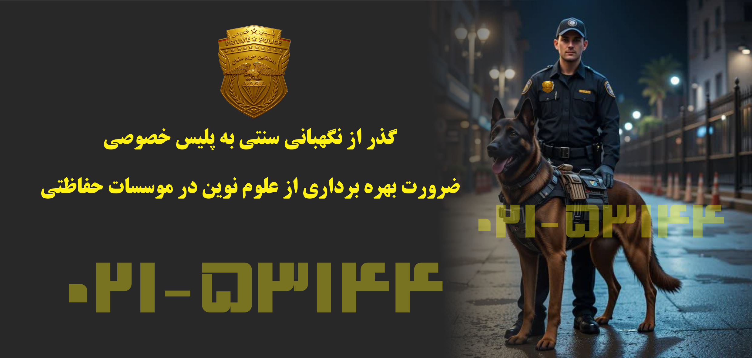 گذر از نگهبانی سنتی به پلیس خصوصی