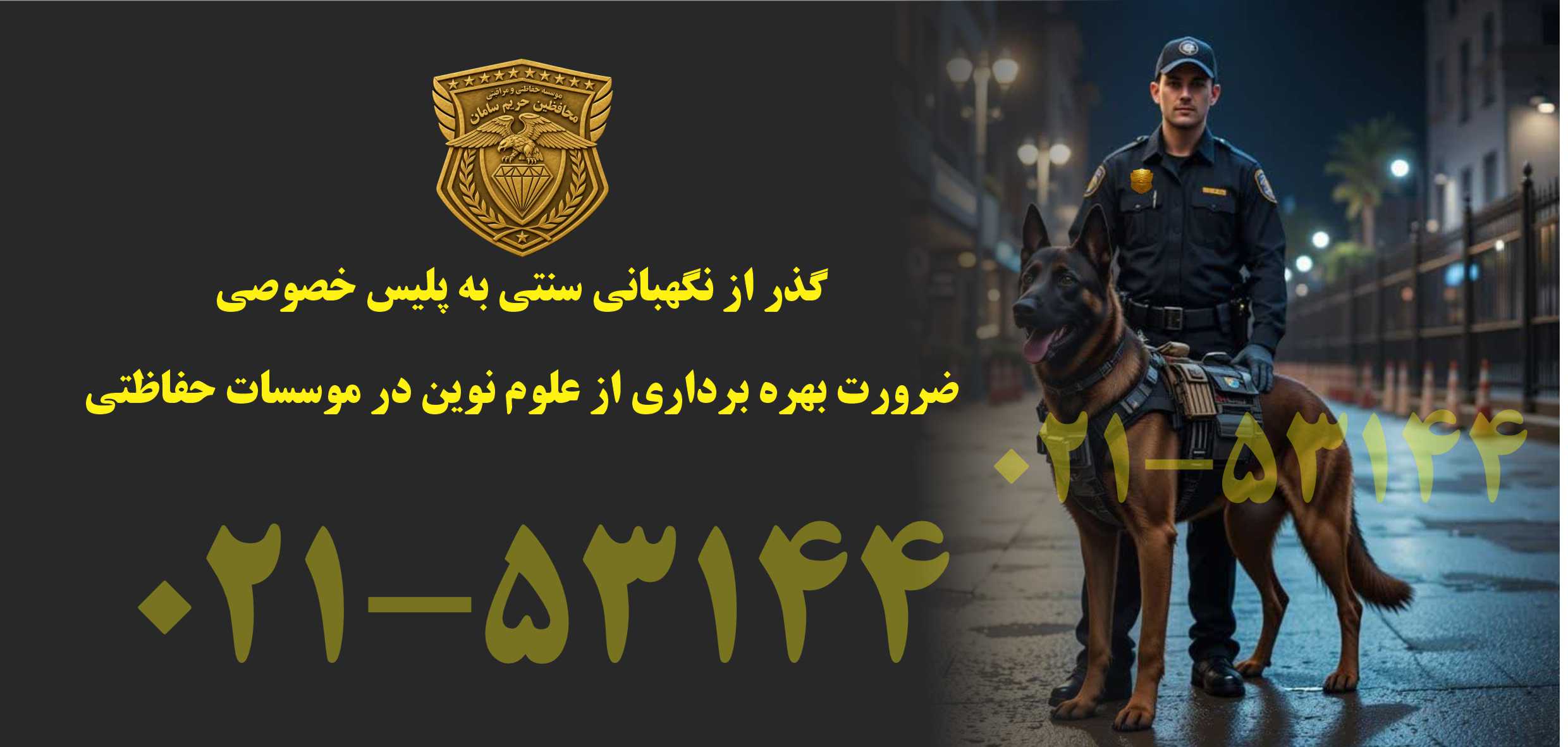 معرفی موسسات حفاظتی و مراقبتی