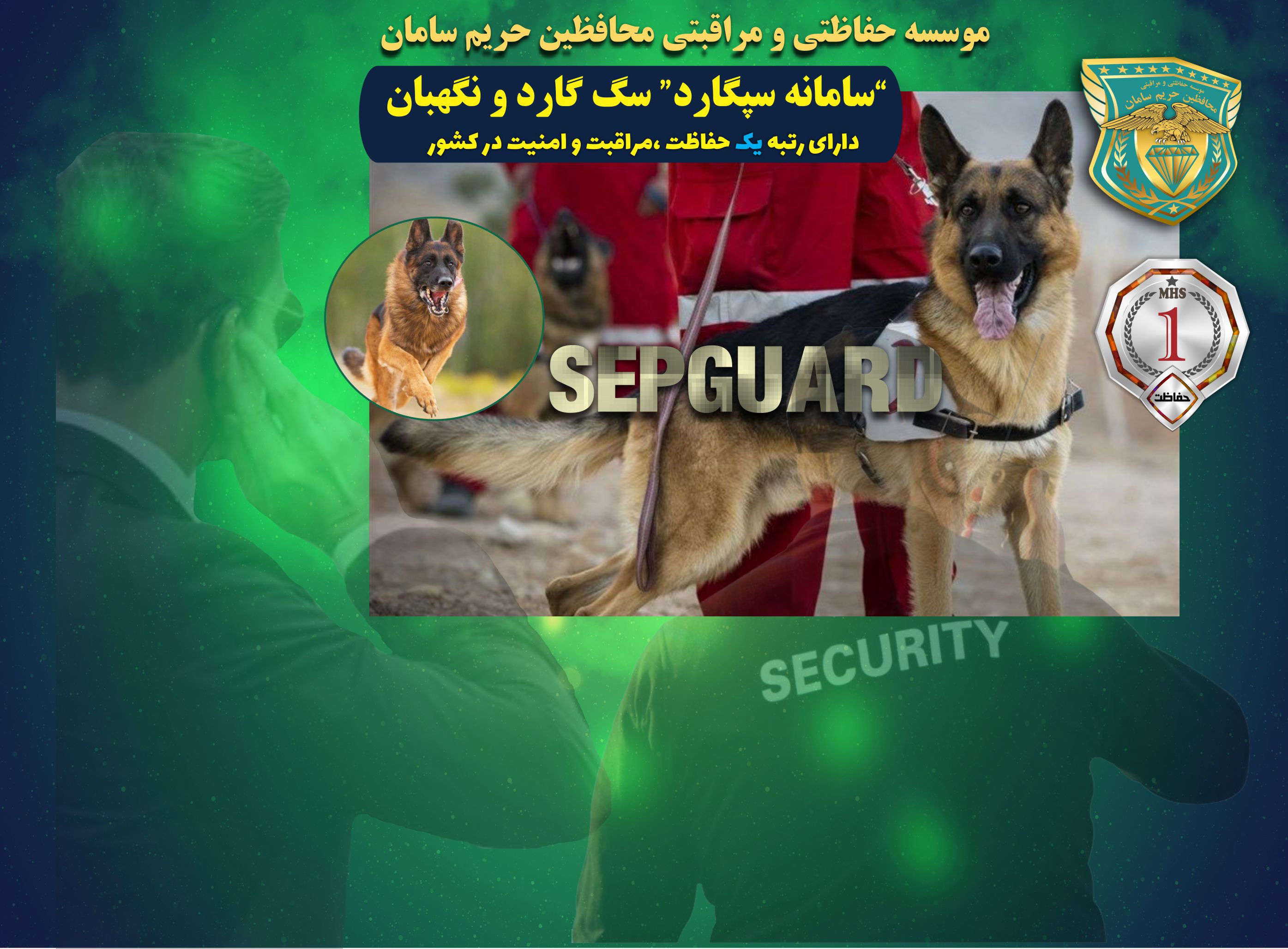 سگ گارد ،سگ پلیس و امدادموسسه خدمات حفاظتی و مراقبتی محافظین حریم سامان